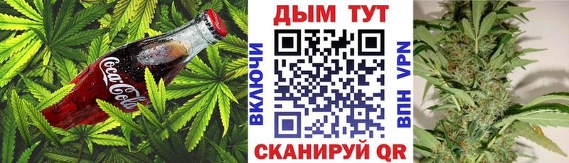 продажа наркотиков  Павловский Посад  Canna-Cookies конопля 