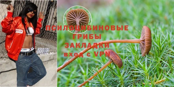 метадон Алексин