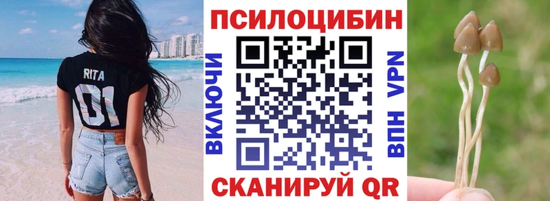 Галлюциногенные грибы Psilocybine cubensis  Павловский Посад 